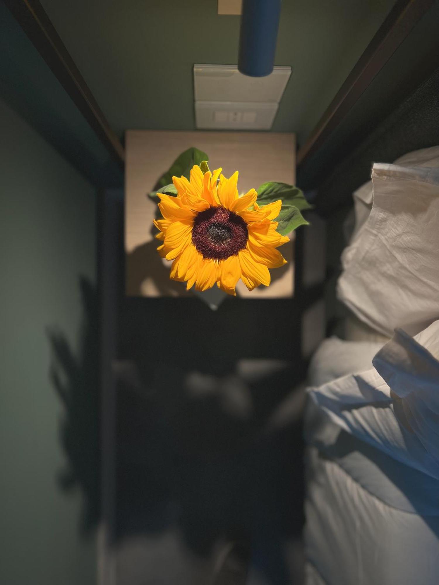 Maiorano Boutique Hotel マンフレドーニア エクステリア 写真